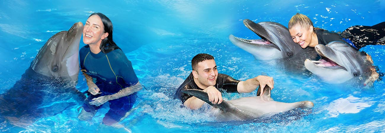 Save Up to 20% with Combo: Dubai Frame + Dolphin & Seal Show – Dubai Dolphinarium - Image 5